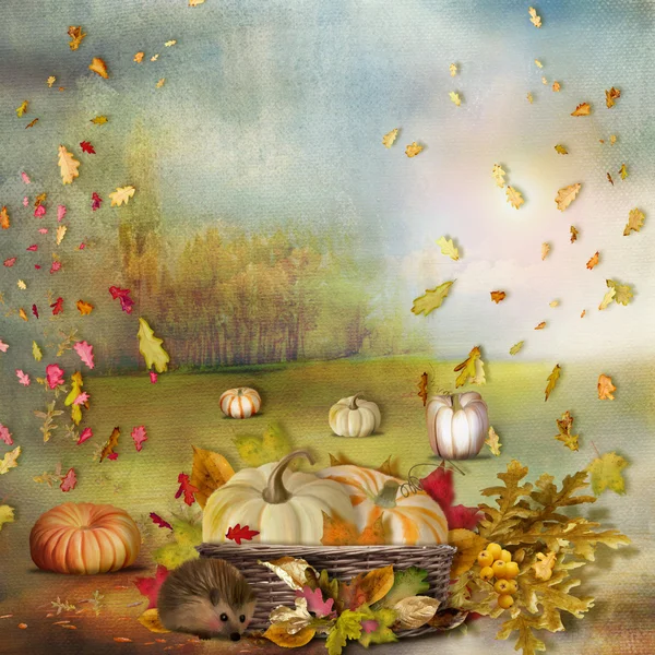 Autumn composition — Stock Photo, Image