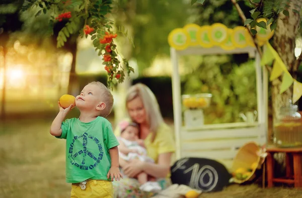 Picnic alla limonata — Foto Stock