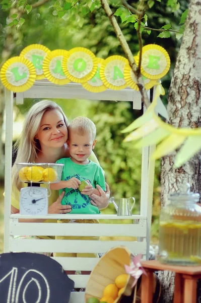 Limonade picknick — Stockfoto