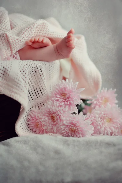 Piedi piccoli — Foto Stock