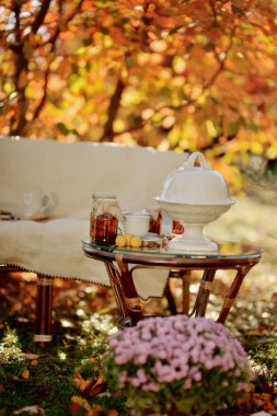 çay partisi niteliğine