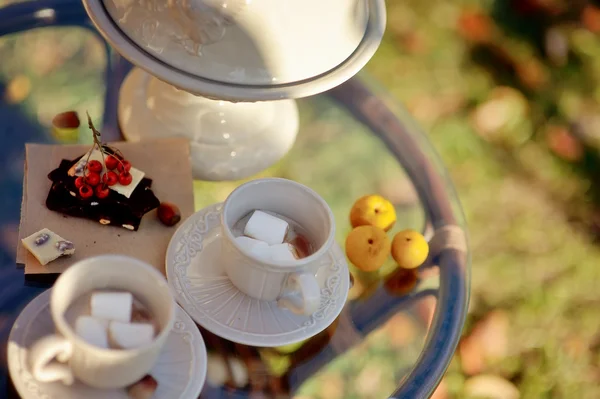 Tea and chocolate — Stock Photo, Image