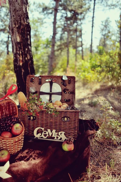 Martwa natura piknik jesień — Zdjęcie stockowe