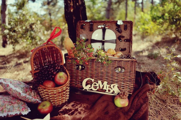 Still life of autumn picnic — Stock Photo, Image