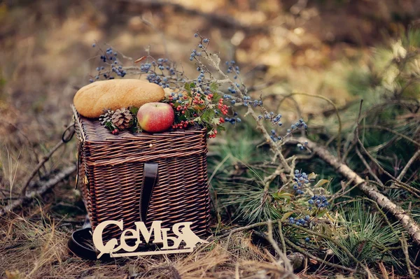 Still life of autumn picnic — Stock Photo, Image