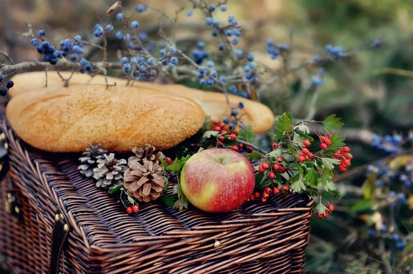 Natürmort sonbahar piknik — Stok fotoğraf