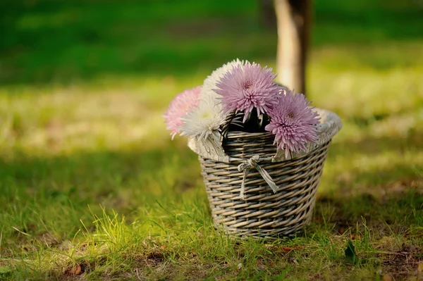 Cesta com flores — Fotografia de Stock