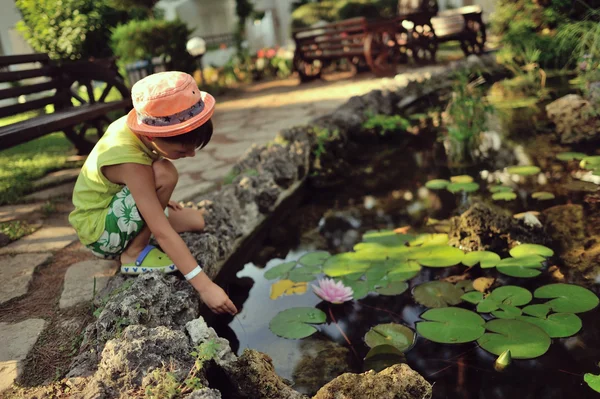 Lírio lago — Fotografia de Stock