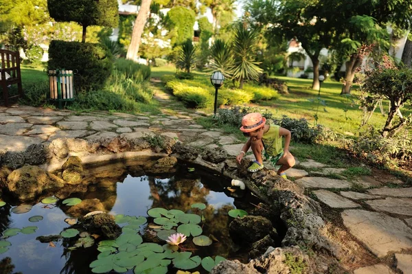 Lily Pond — Stock Photo, Image