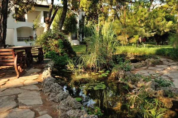 Lily Pond — Stock Photo, Image