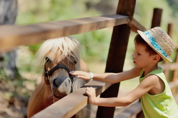 Pony y chico —  Fotos de Stock
