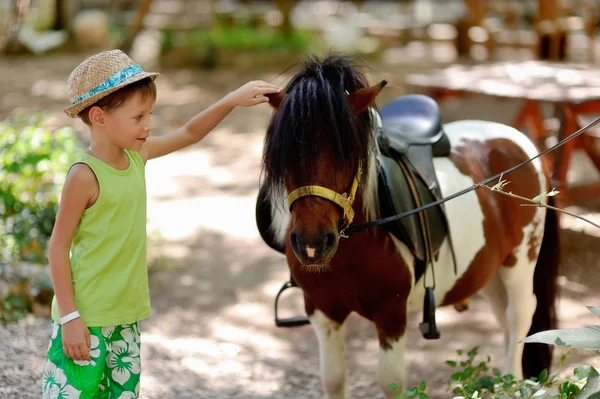 Pony and boy — Stock Photo, Image