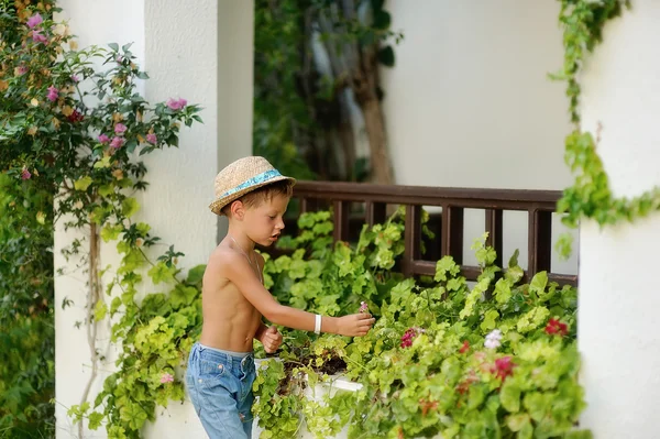 Little gardener — Stock Photo, Image