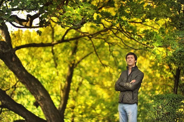 L'homme dans les bois — Photo