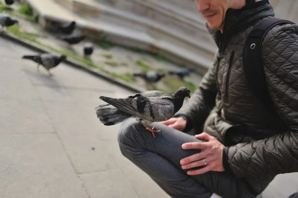 Man and doves — Stock Photo, Image