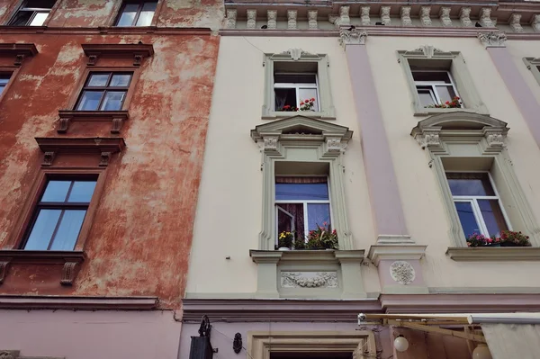 Windows with flowers — Stock Photo, Image