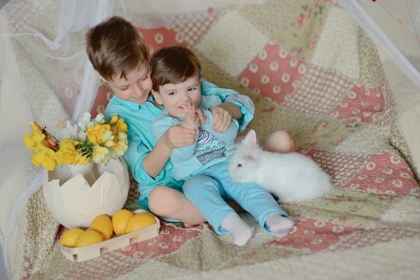 Kinder und Kaninchen — Stockfoto