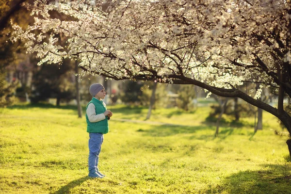 Menino em um jardim florido — Fotografia de Stock