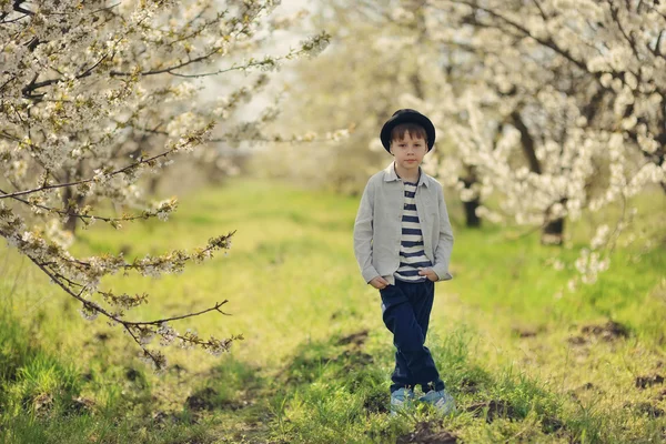 Boy in a flowering garden — Stock Photo, Image