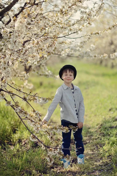在开花的花园里的男孩 — 图库照片