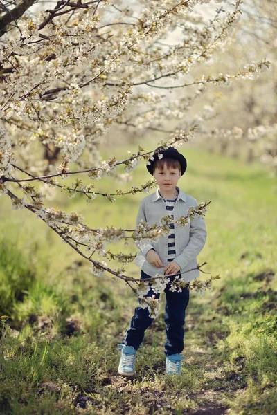 Chlapec v kvetoucí zahradě — Stock fotografie