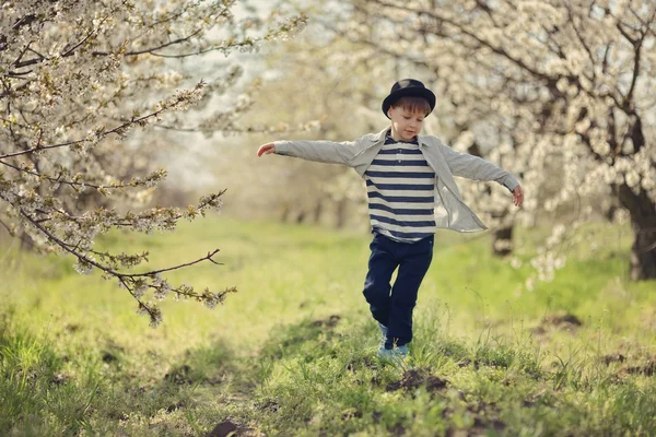 Chlapec v kvetoucí zahradě — Stock fotografie