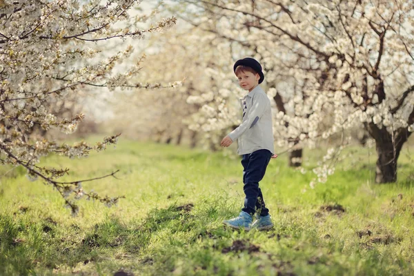 Niño en un jardín floreciente — Foto de Stock