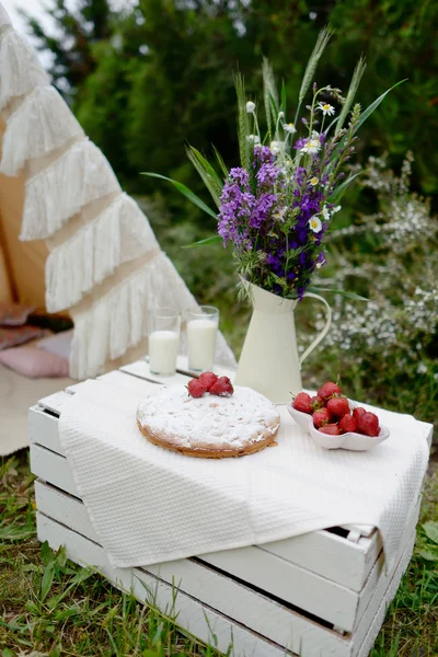 Picnic en una tienda — Foto de Stock