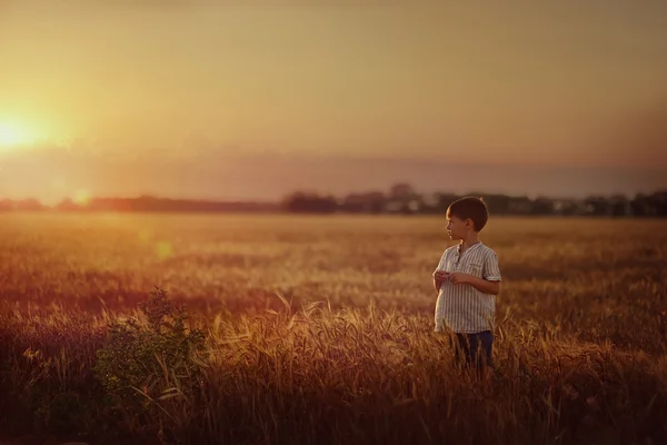 Ребенок на поле — стоковое фото