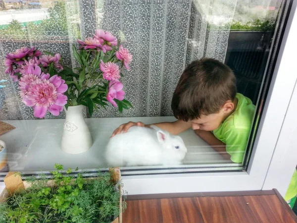 Хлопчик з кроликом — стокове фото