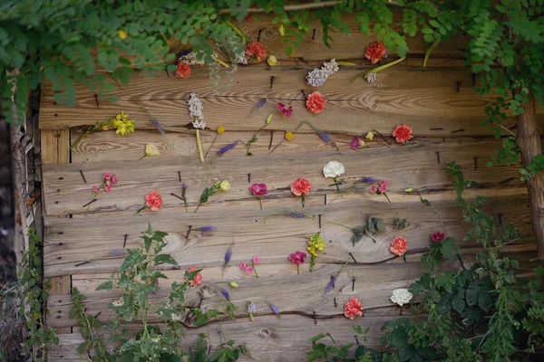 꽃 봉 오리 — 스톡 사진