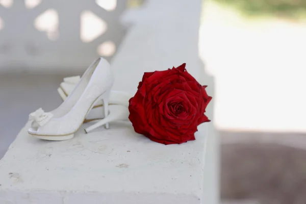Красная роза и белые туфли — стоковое фото