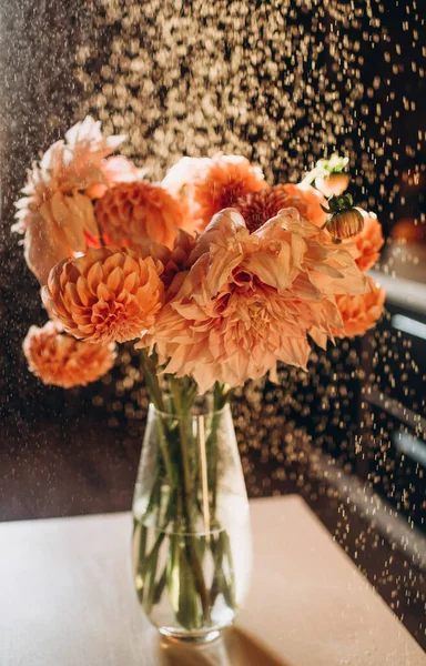 Jesienne Kwiaty Chryzantemy Poranka Pokrojone Wazon — Zdjęcie stockowe
