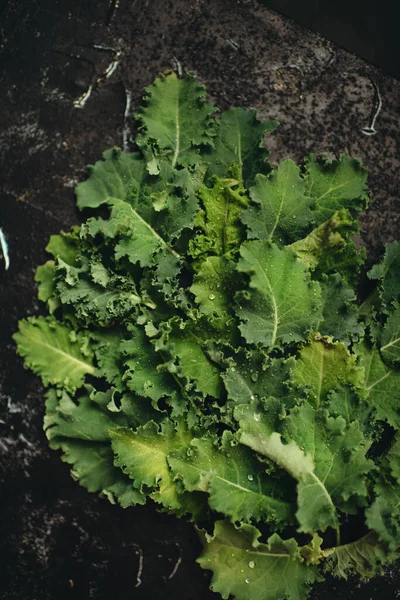 Nyttig Växt Kål Grön Grönsak Och Massa Vitaminer — Stockfoto