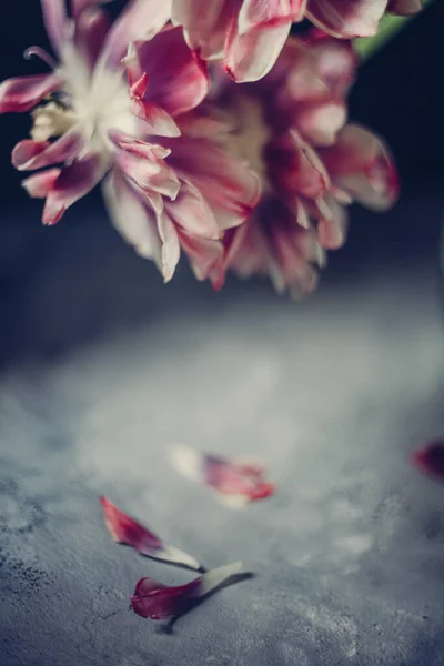 Bouquet of red tulip flowers in a transparent vase