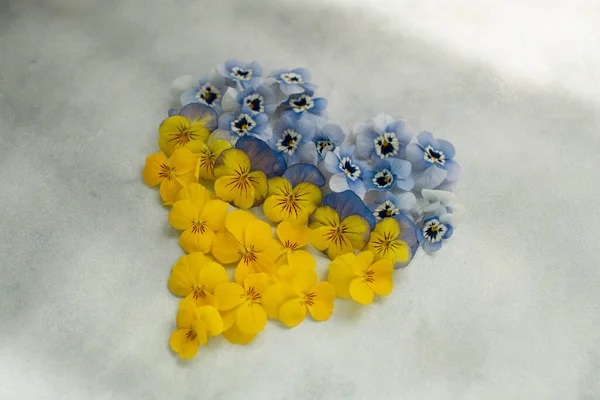 Flores Amarillas Azules Forma Símbolo Del Corazón Bandera Ucrania —  Fotos de Stock