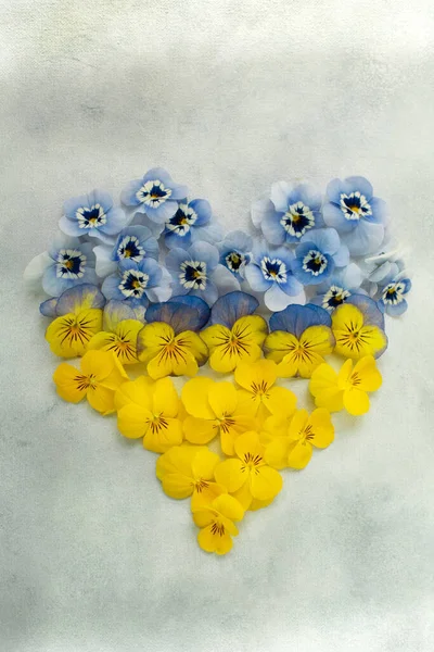 Gelbe Und Blaue Blumen Form Eines Herzsymbols Der Ukrainischen Flagge — Stockfoto