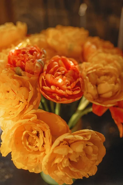 Spring Flowers Bright Orange Warm Colors High Expansion — 图库照片