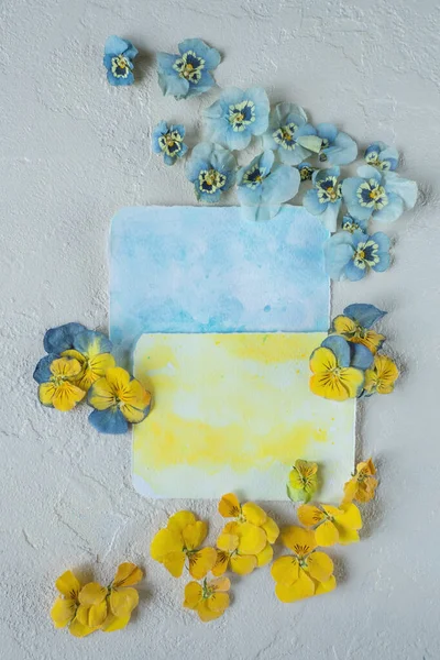花黄色和蓝色的乌克兰国旗符号 卡片模型 — 图库照片