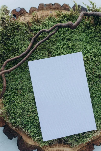 Invitation Mockup White Paper Letter Mockup Natural Background Moss Tree — Stockfoto