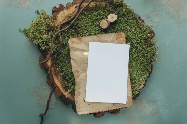 Invitation Mockup White Paper Letter Mockup Natural Background Moss Tree — ストック写真
