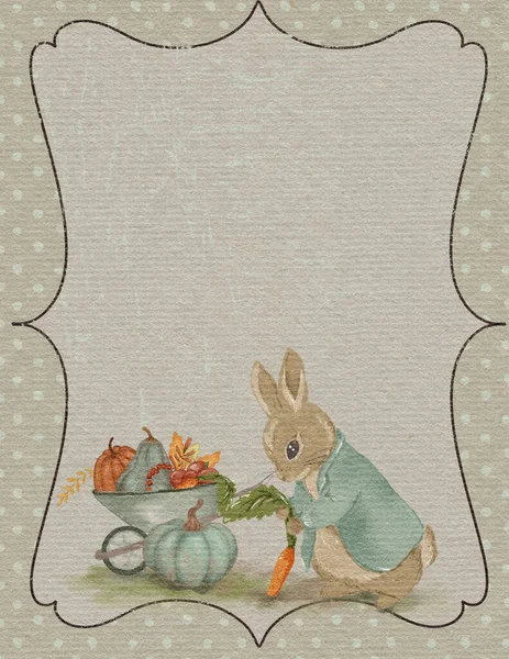 Rabbit Illustration Greeting Card Rabbit Autumn Card Thanksgiving Day Invitation — Zdjęcie stockowe