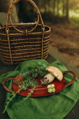 collection of herbs and wild berries, natural gifts for alternative medicine