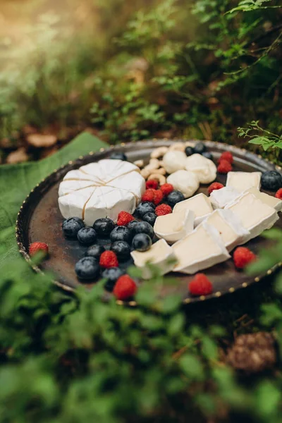 Forest Picnic Background Moss Blueberry Bushes Cheese Berries Metal Plate — ストック写真
