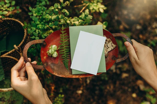 Invitation Greeting Card Mockup Natural Background Forest Paper Mockup Forest — Stok fotoğraf