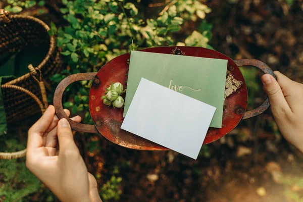 Invitation Greeting Card Mockup Natural Background Forest Paper Mockup Forest — Fotografie, imagine de stoc