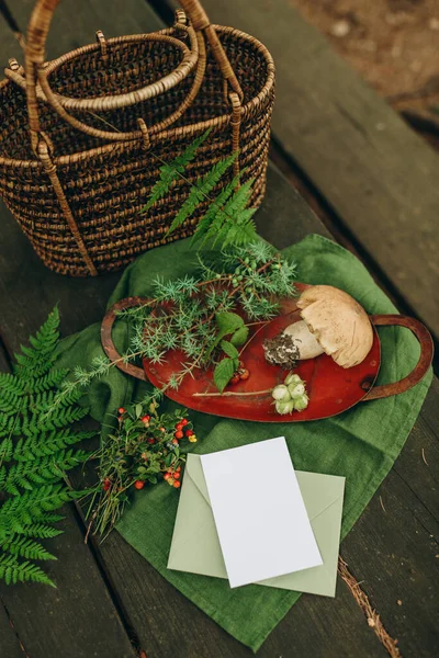 Collection Herbs Wild Berries Natural Gifts Alternative Medicine — Stockfoto