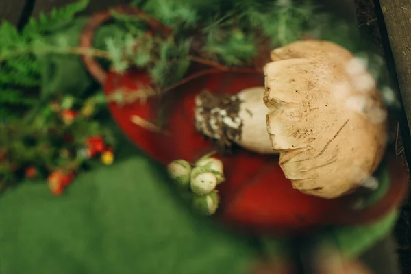 Collection Herbs Wild Berries Natural Gifts Alternative Medicine — Stock fotografie