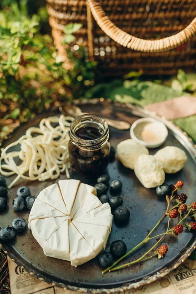 Forest Picnic Background Moss Blueberry Bushes Cheese Berries Metal Plate — Stock fotografie