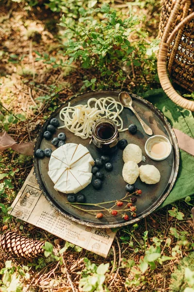 Forest Picnic Background Moss Blueberry Bushes Cheese Berries Metal Plate — Zdjęcie stockowe